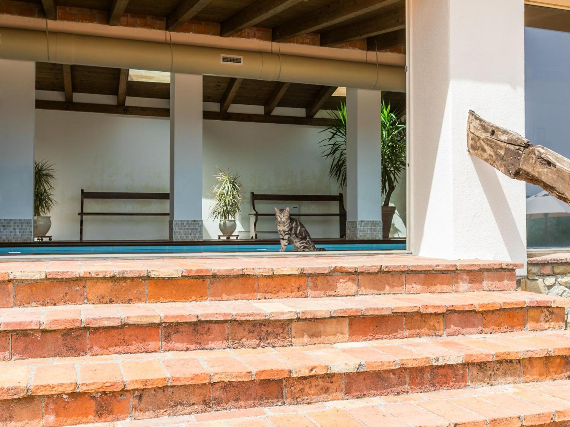 Cinigiano Holiday Home Ciliegiolo By Interhome מראה חיצוני תמונה